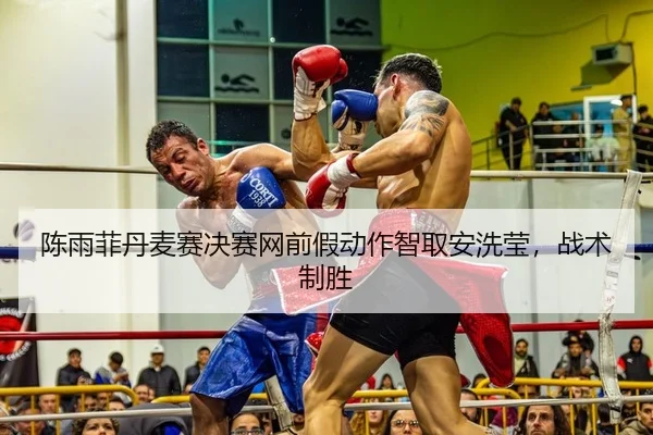 chen-yu-fei-dan-mai-sai-jue-sai-wang-qian-jia-dong-zuo-zhi-qu-an-xi-ying-zhan-shu-zhi-sheng-2-529.jpg