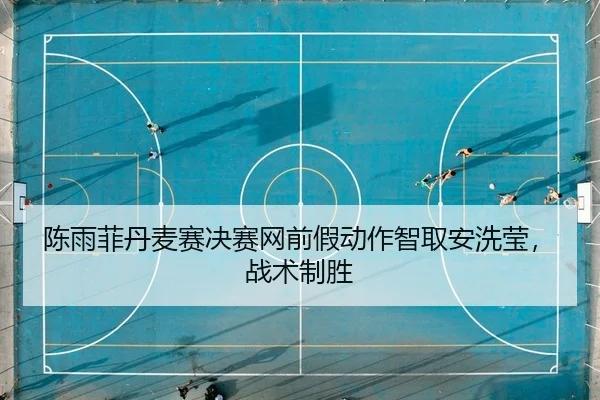 陈雨菲丹麦赛决赛网前假动作智取安洗莹，战术制胜
